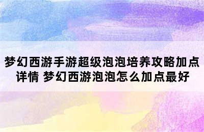 梦幻西游手游超级泡泡培养攻略加点详情 梦幻西游泡泡怎么加点最好